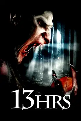 13Hrs poster