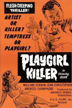 Playgirl Killer poster