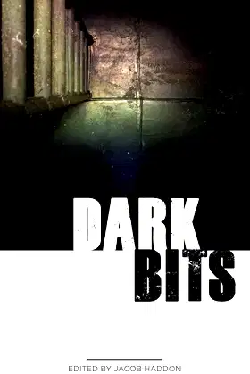 Dark Bits (QuickLII Book 1) poster