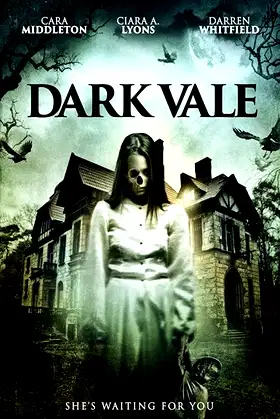 Dark Vale poster