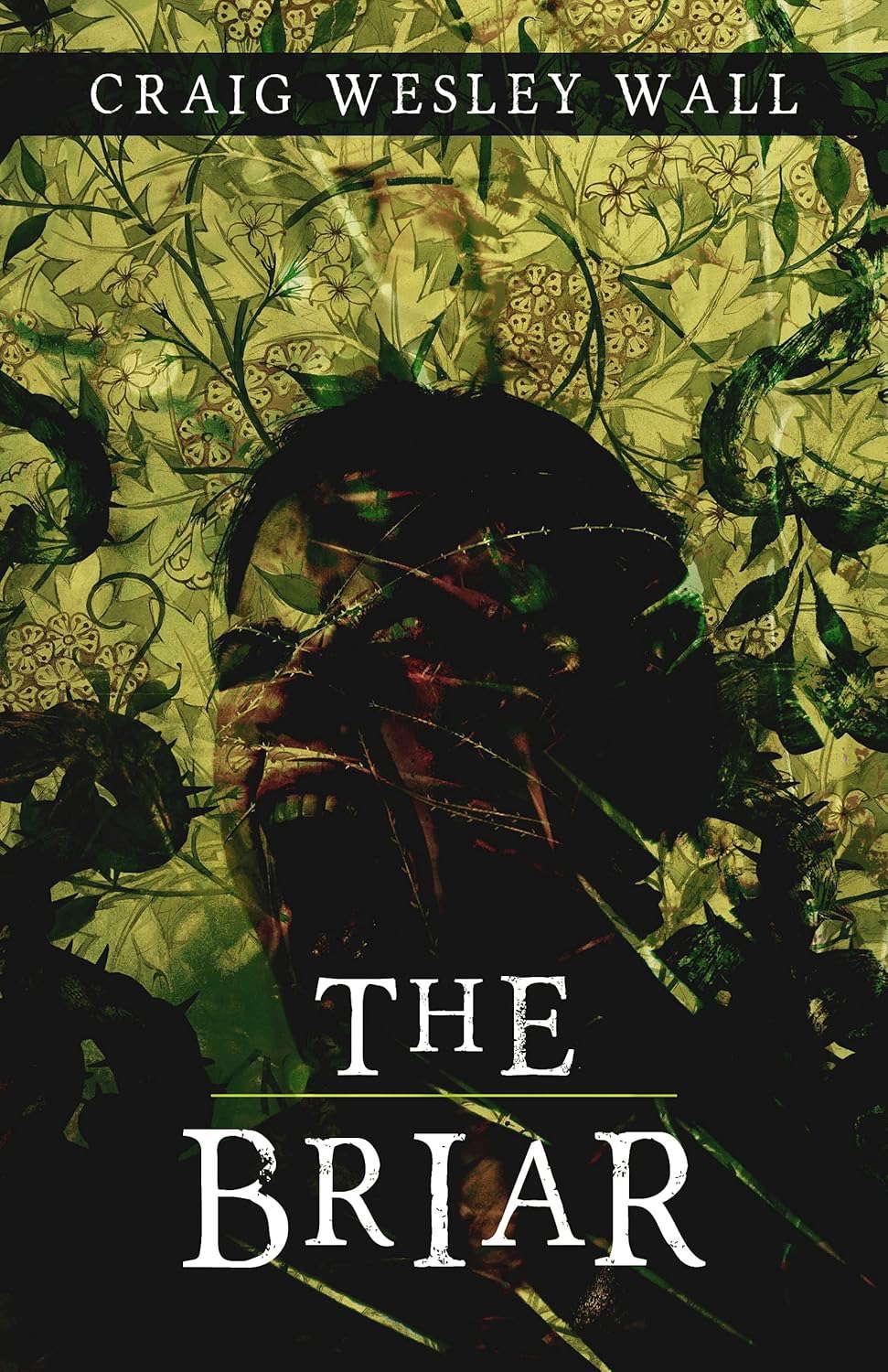 The Briar poster