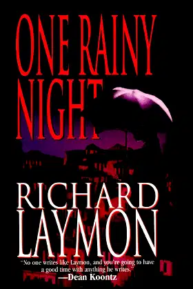 One Rainy Night poster