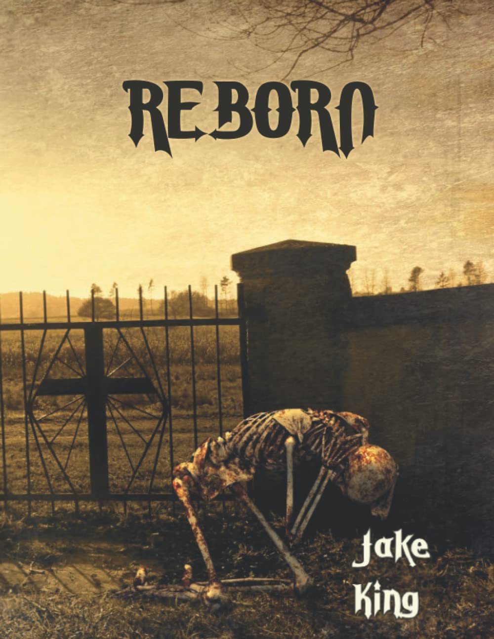 Reborn poster
