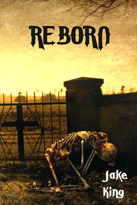 Reborn poster