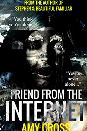 Friend From the Internet poster