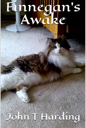 Finnegan's Awake poster