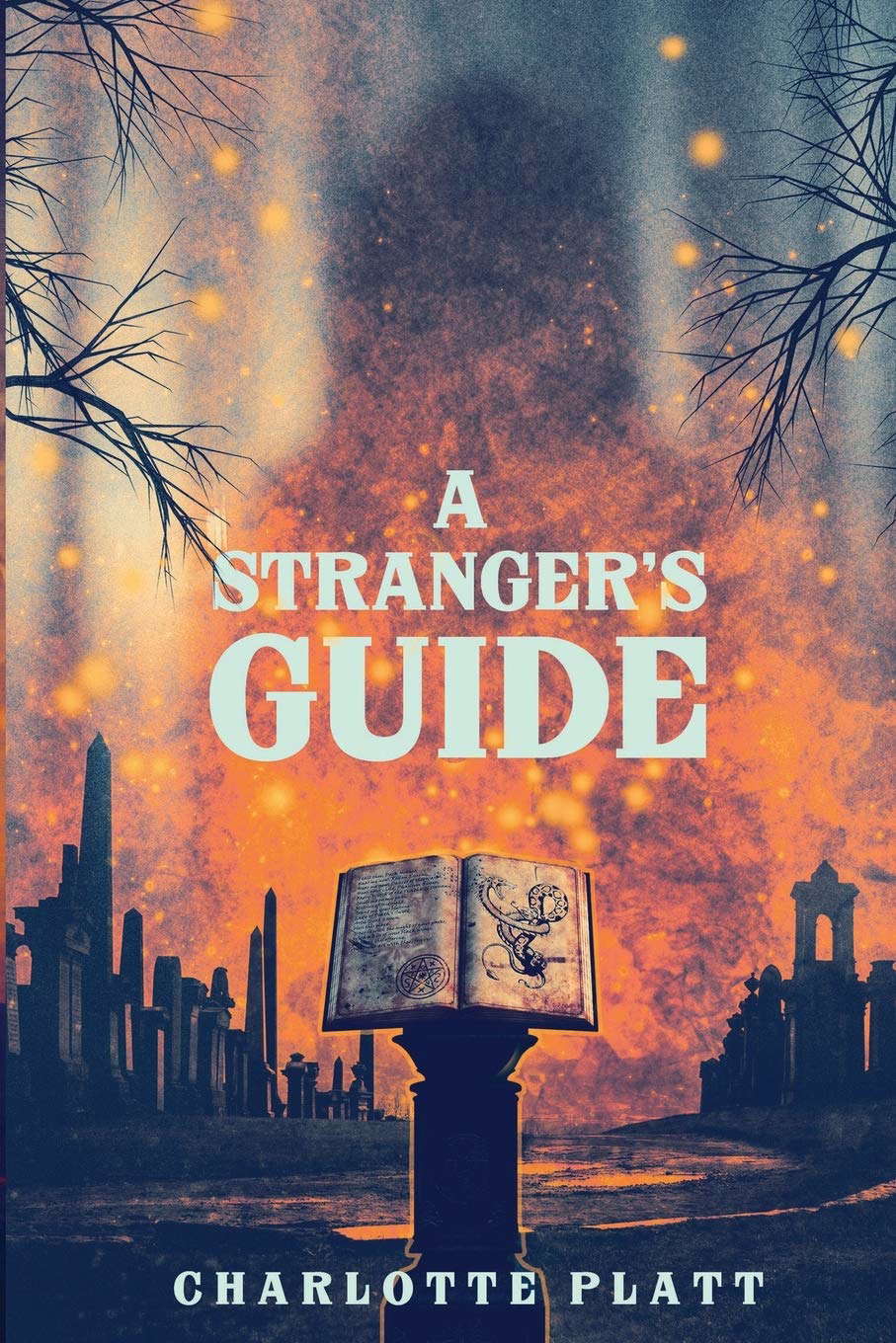 A Stranger's Guide poster