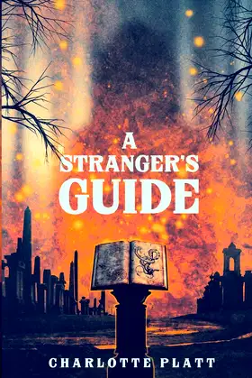 A Stranger's Guide poster