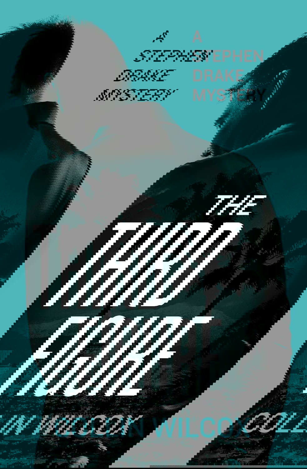 The Third Figure (The Stephen Drake Mysteries) poster