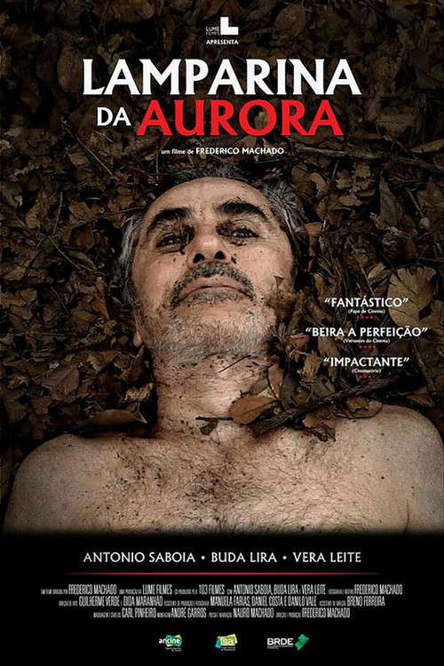 Dead Leaves poster