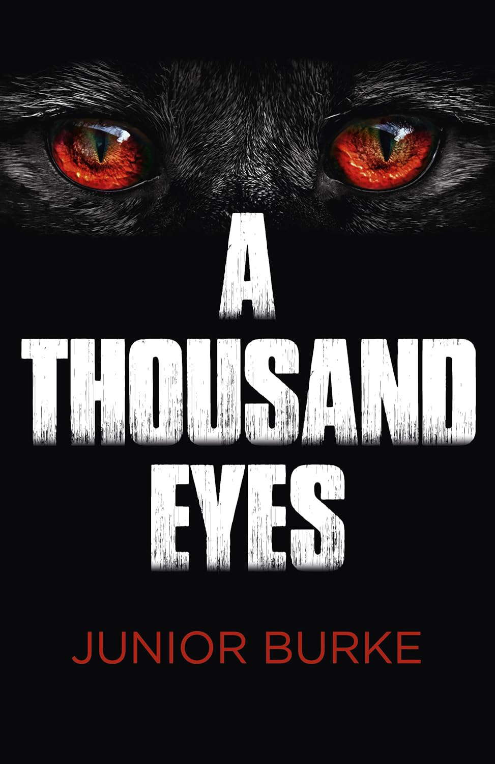 A Thousand Eyes poster