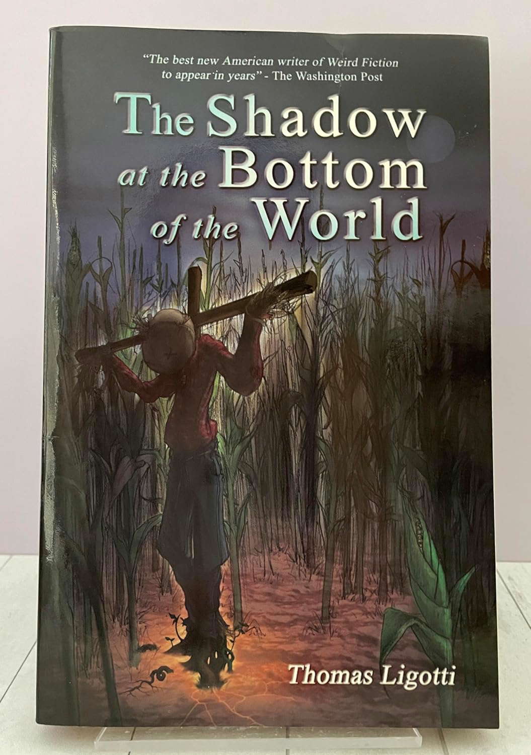 The Shadow at The Bottom of The World poster