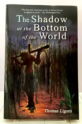 The Shadow at The Bottom of The World poster