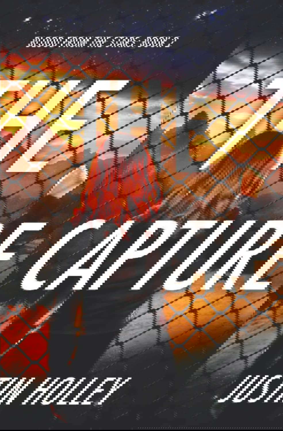 The Capture (Blood From The Stars) poster