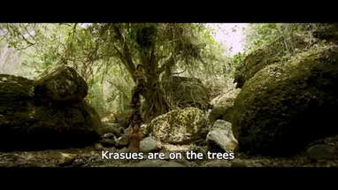 The Dwarves must be Crazy poster