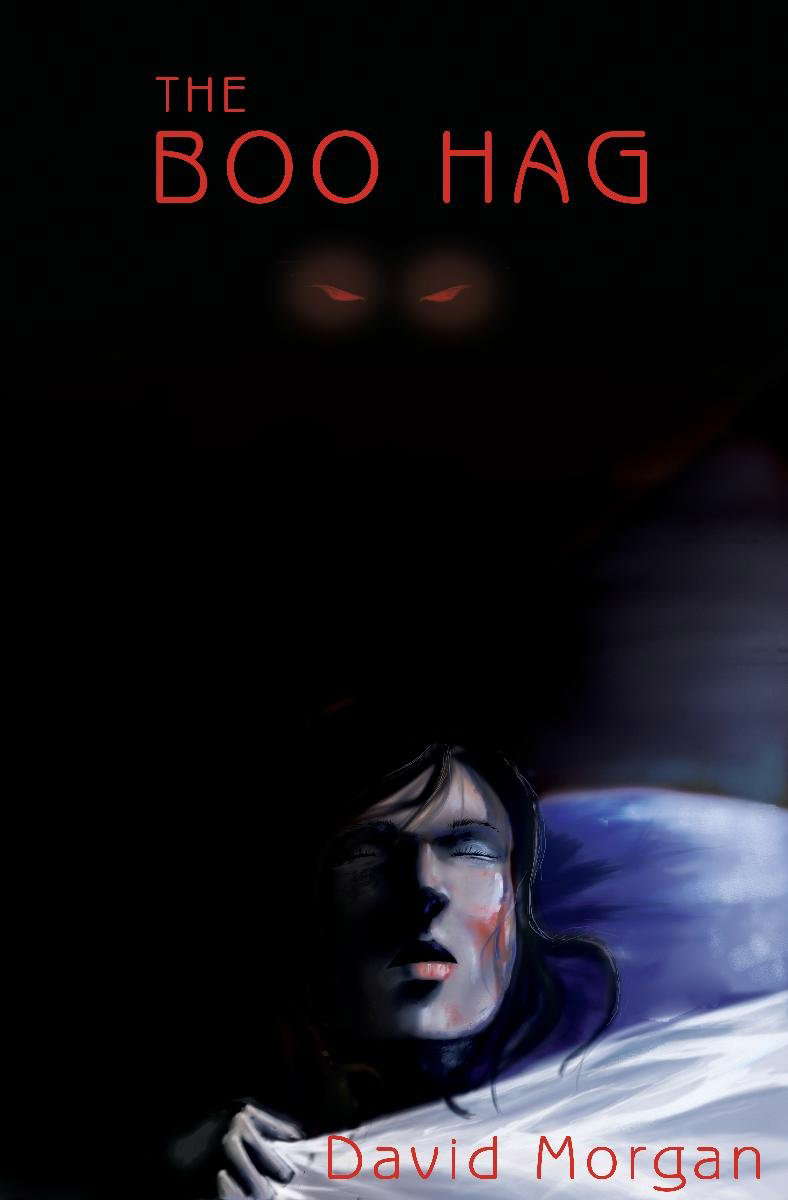 The Boo Hag (The Lenny Chronicles Book 1) poster