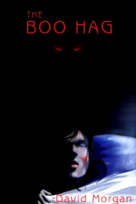 The Boo Hag (The Lenny Chronicles Book 1) poster