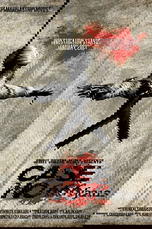 Case No. 666/2013 poster