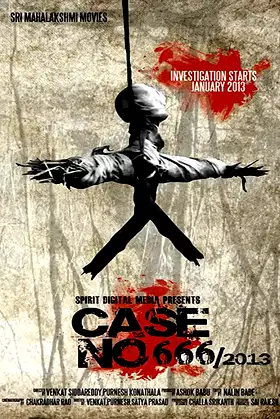 Case No. 666/2013 poster