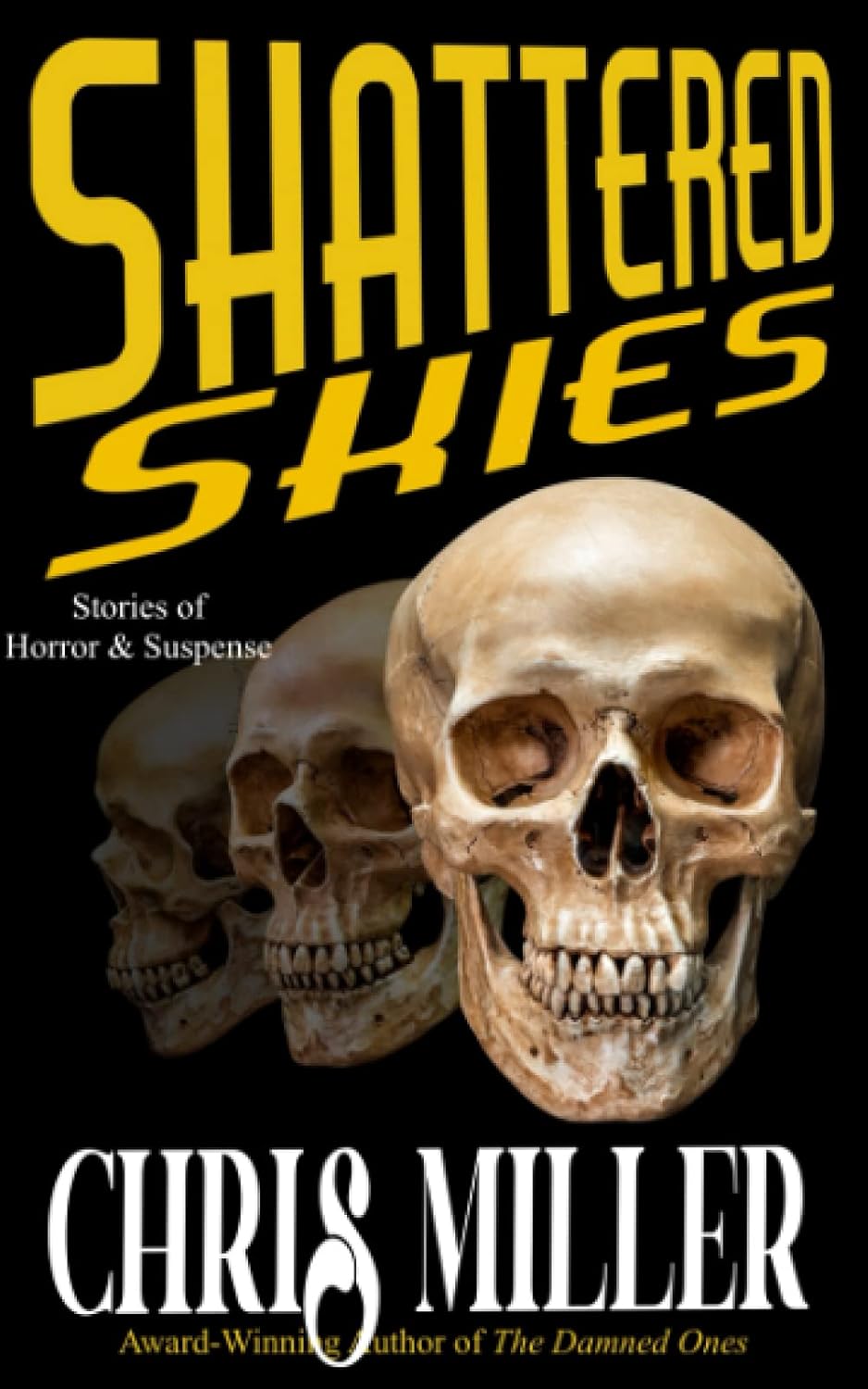 Shattered Skies poster