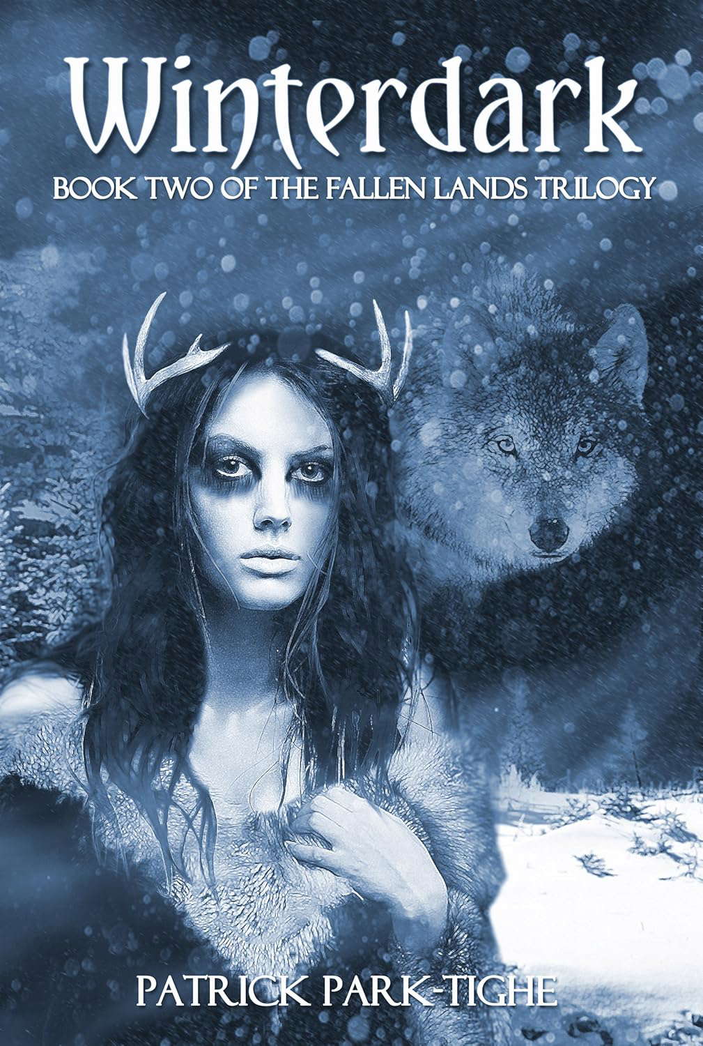 Winterdark, Book Two of the Fallen Lands Trilogy poster