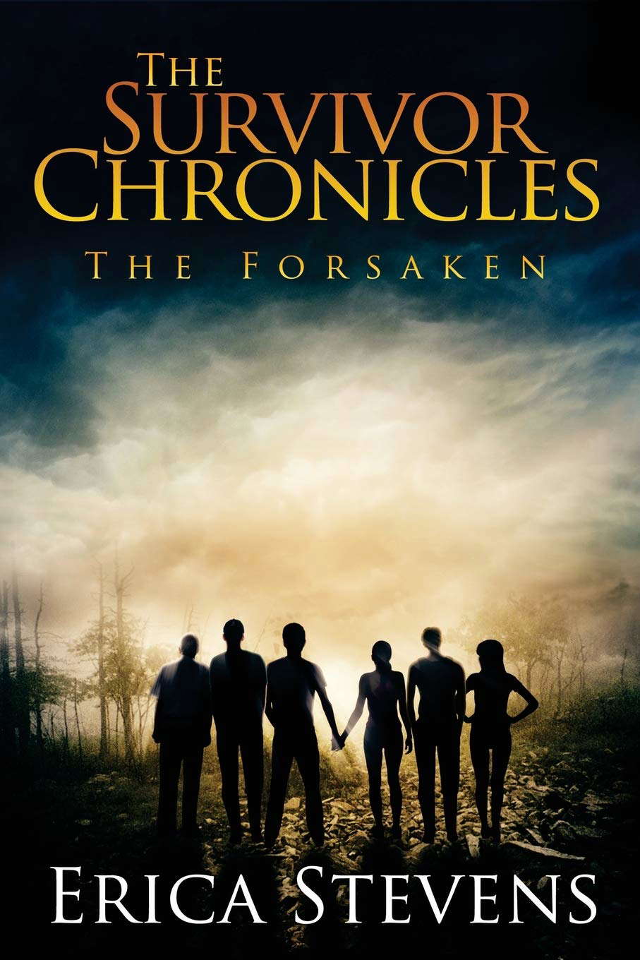 The Survivor Chronicles: Book 3 (The Forsaken) poster