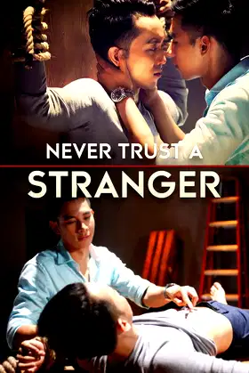 Never Trust a Stranger poster