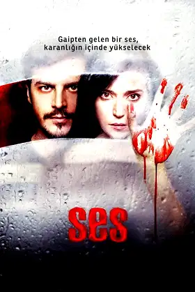 The Voice poster