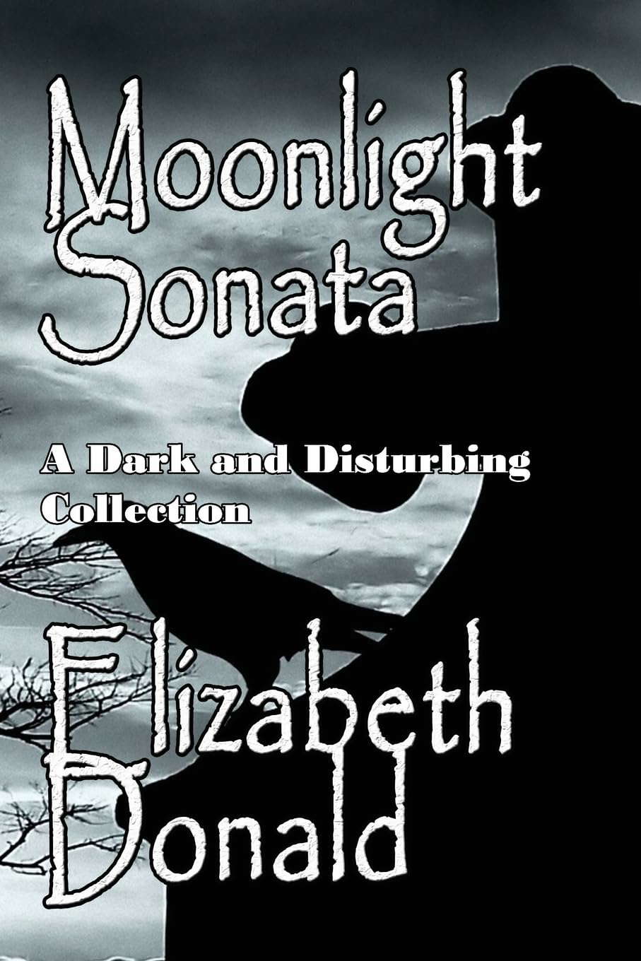 Moonlight Sonata poster
