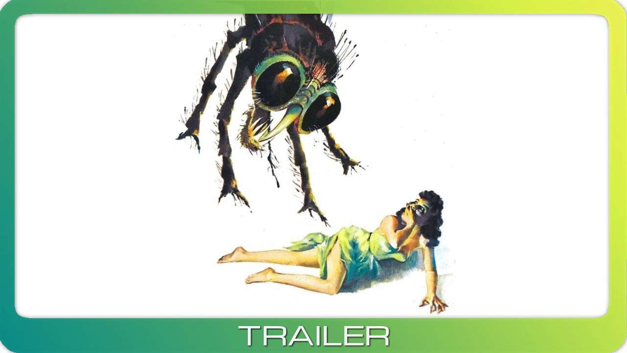 Poster for The Fly