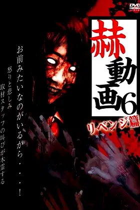 Startling Videos 6: Revenge Edition poster
