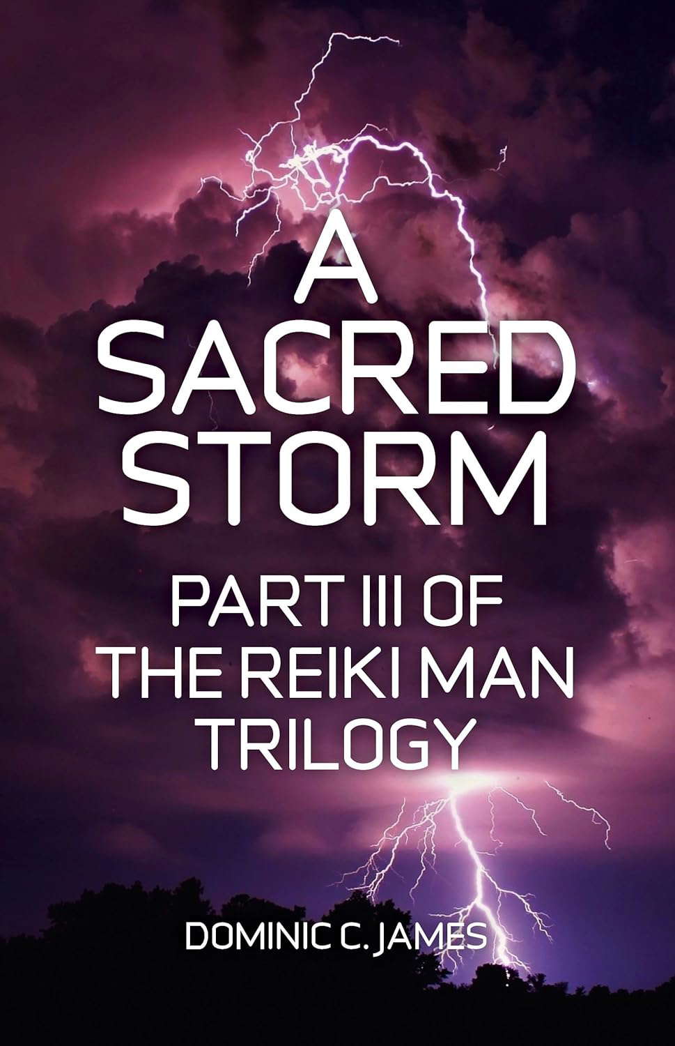 A Sacred Storm (The Reiki Man Trilogy Book 3) poster
