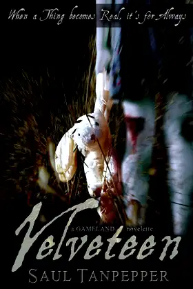 Velveteen poster