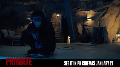 Experience "nail-biting suspense." #PrimateMovie poster