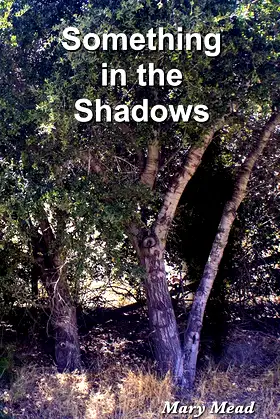 Something in the Shadows poster