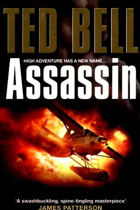 Assassin poster