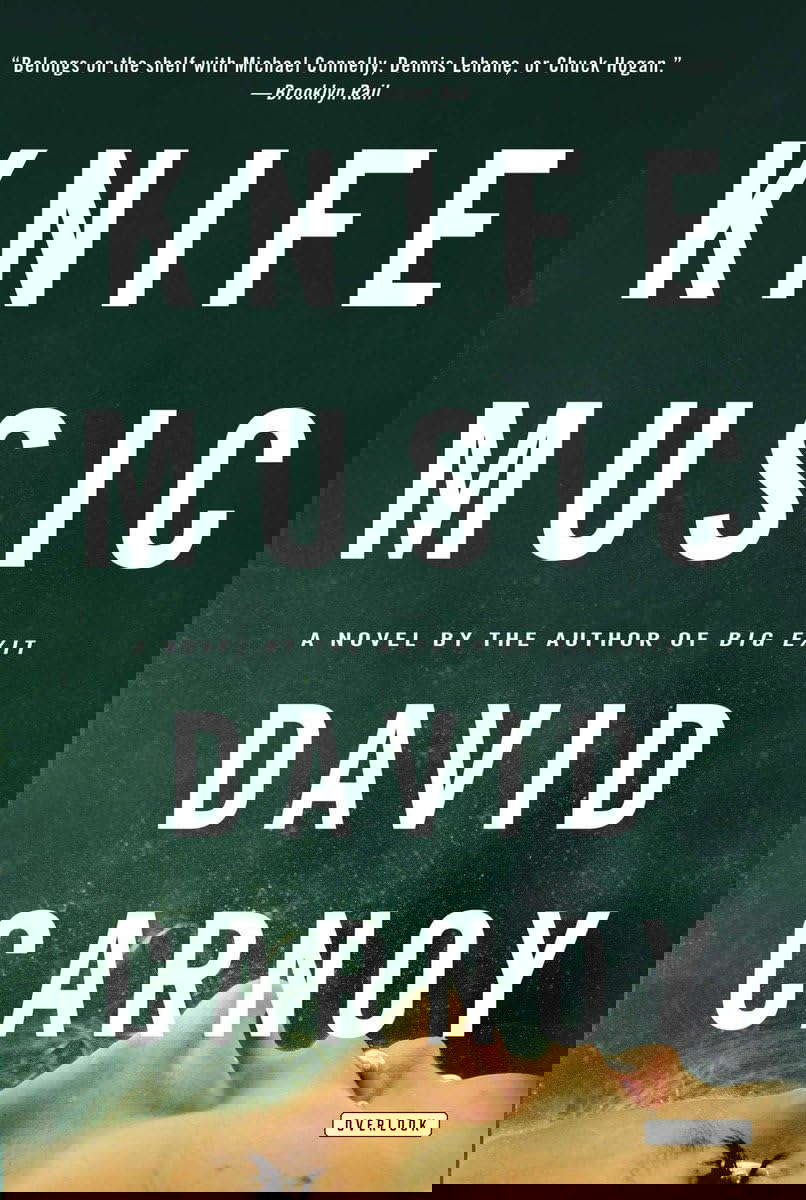 Knife Music: A Novel poster