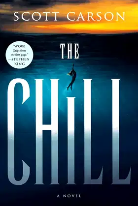 The Chill: A Novel poster