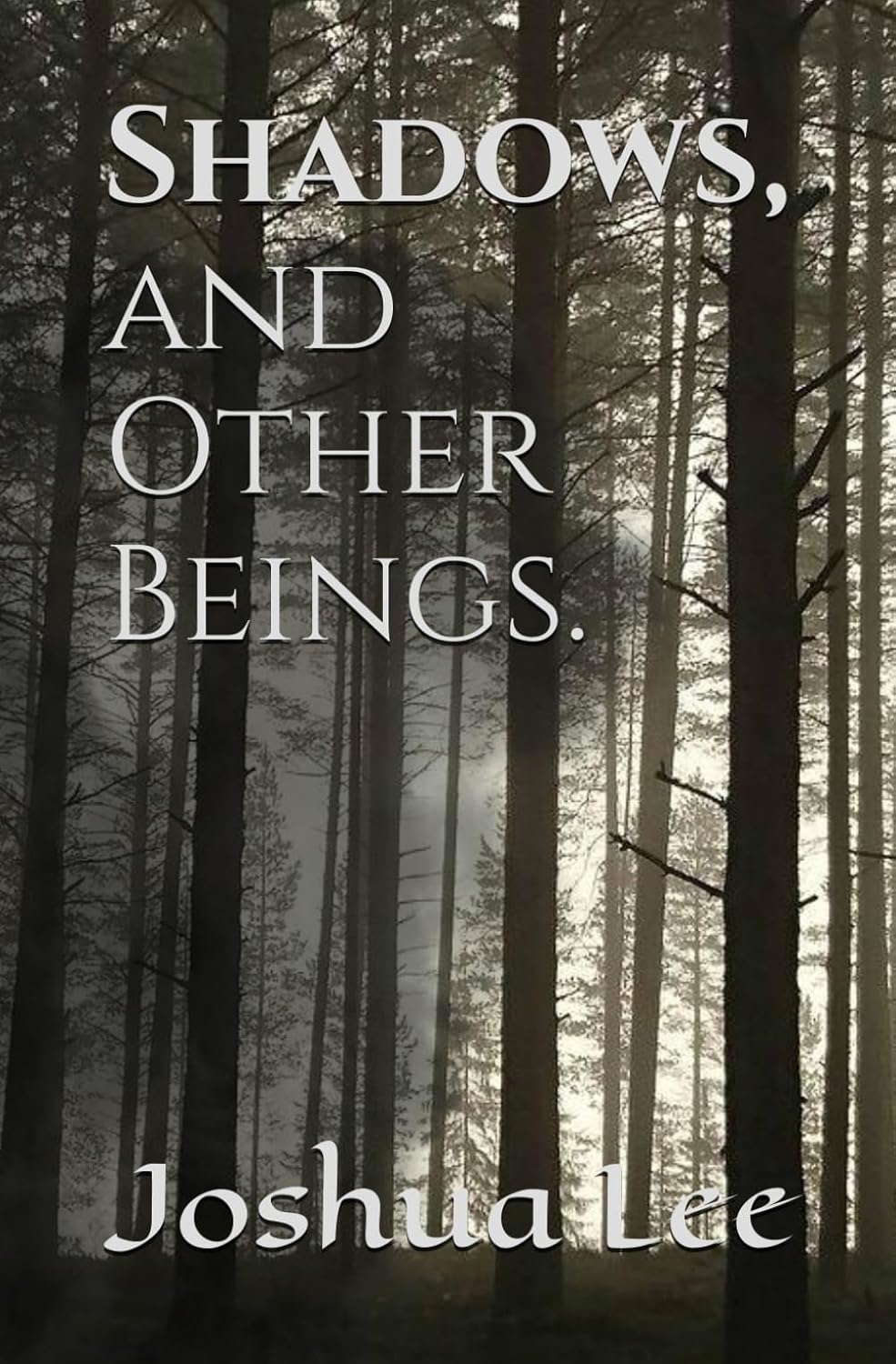Shadows, and Other Beings. poster