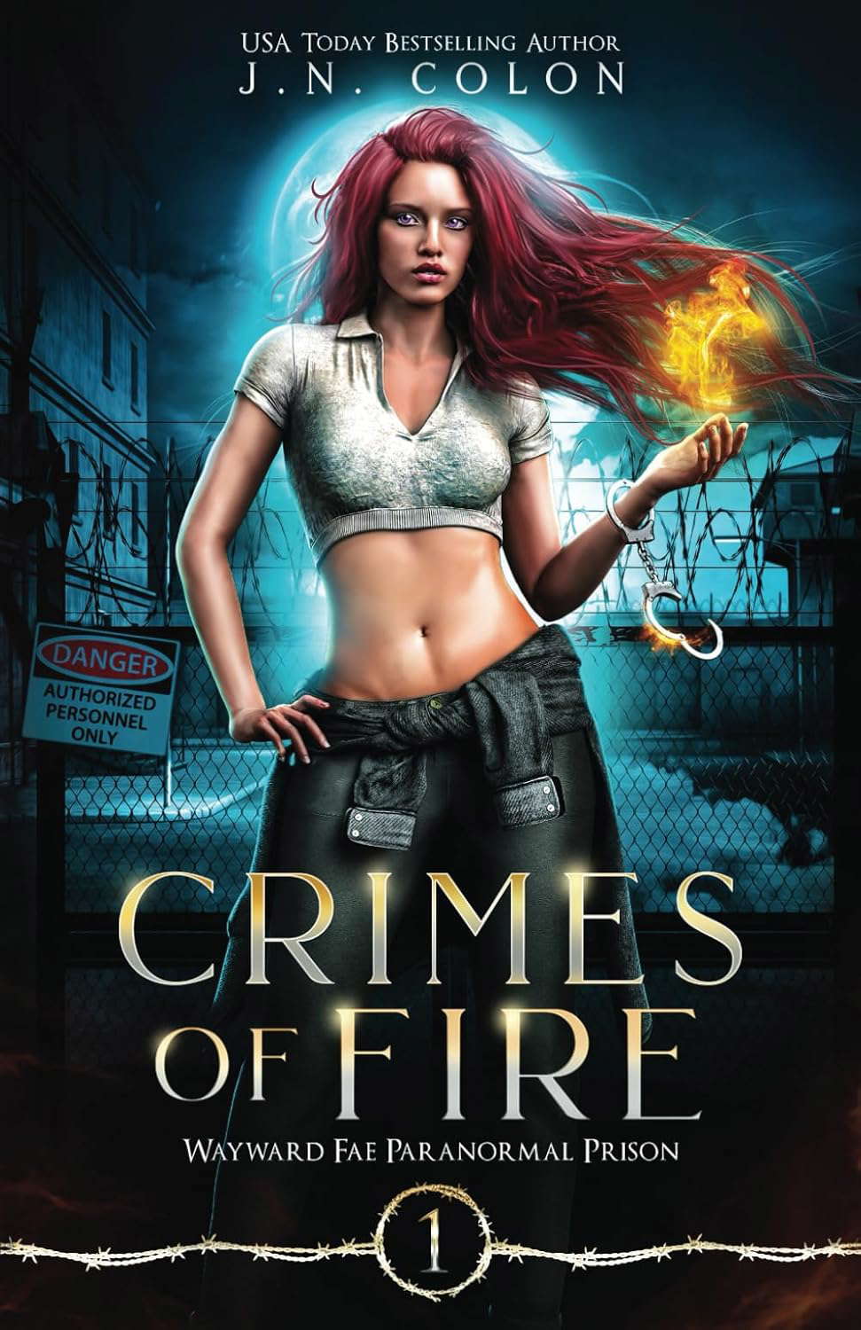 Crimes of Fire (Wayward Fae Paranormal Prison) poster