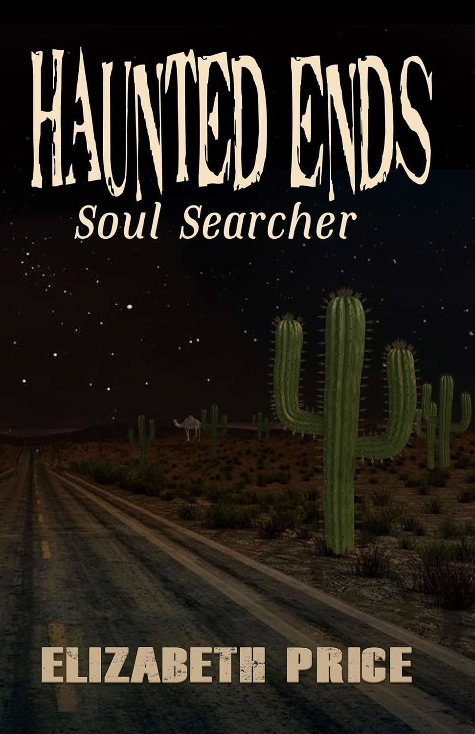 Haunted Ends: Soul Searcher poster