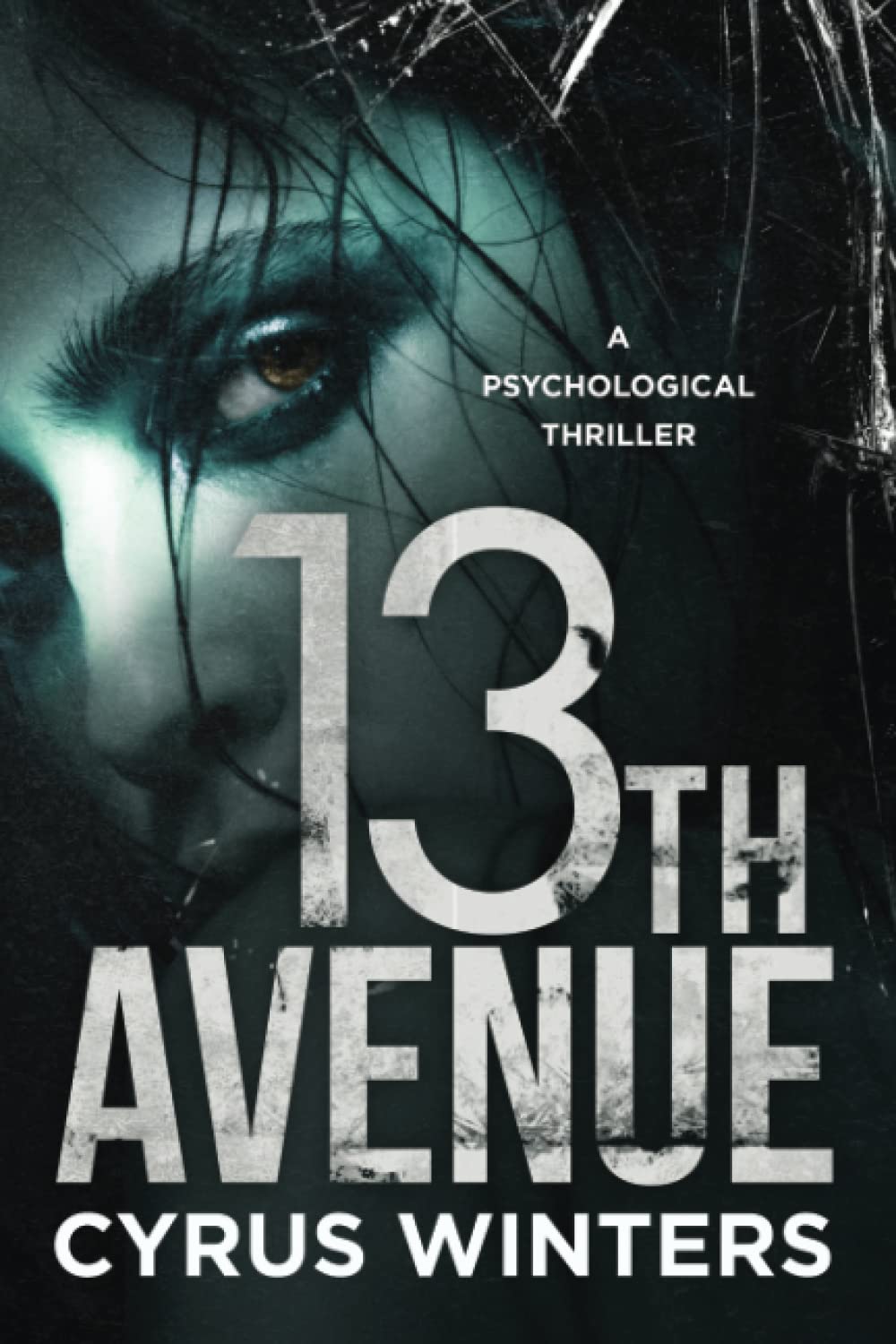 13th Avenue poster
