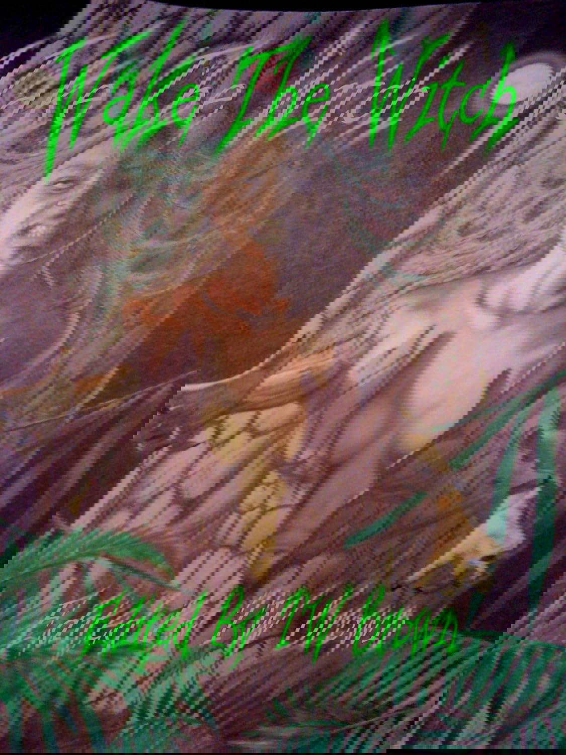 Wake the Witch poster