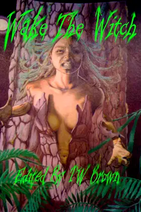 Wake the Witch poster