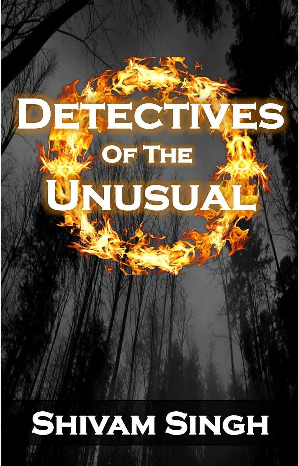 Detectives of the Unusual (DOU series Book 1) poster
