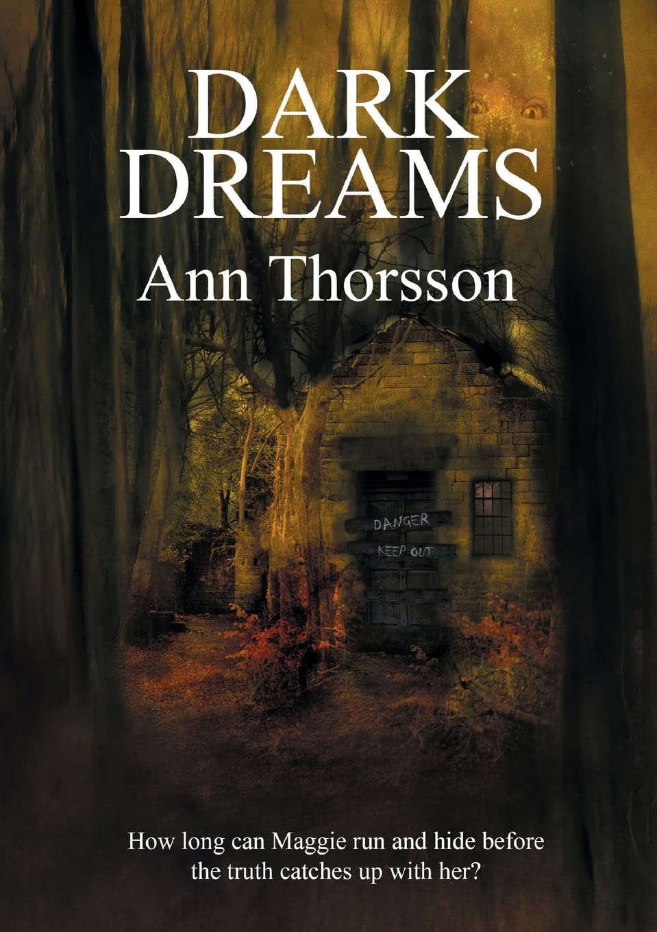 Dark Dreams poster