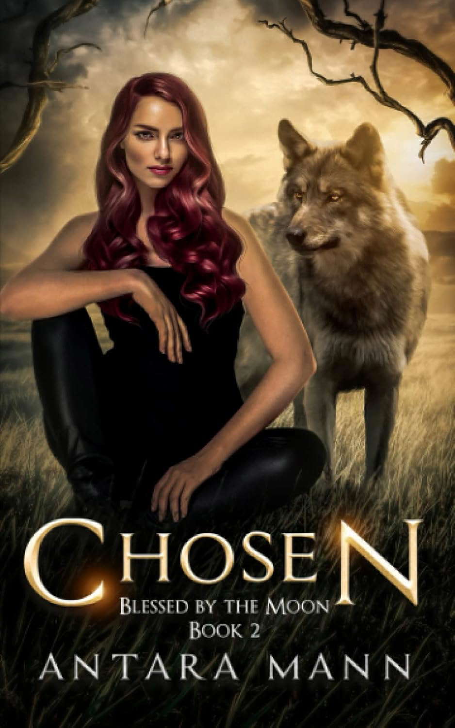 Chosen (Blessed by the Moon) poster