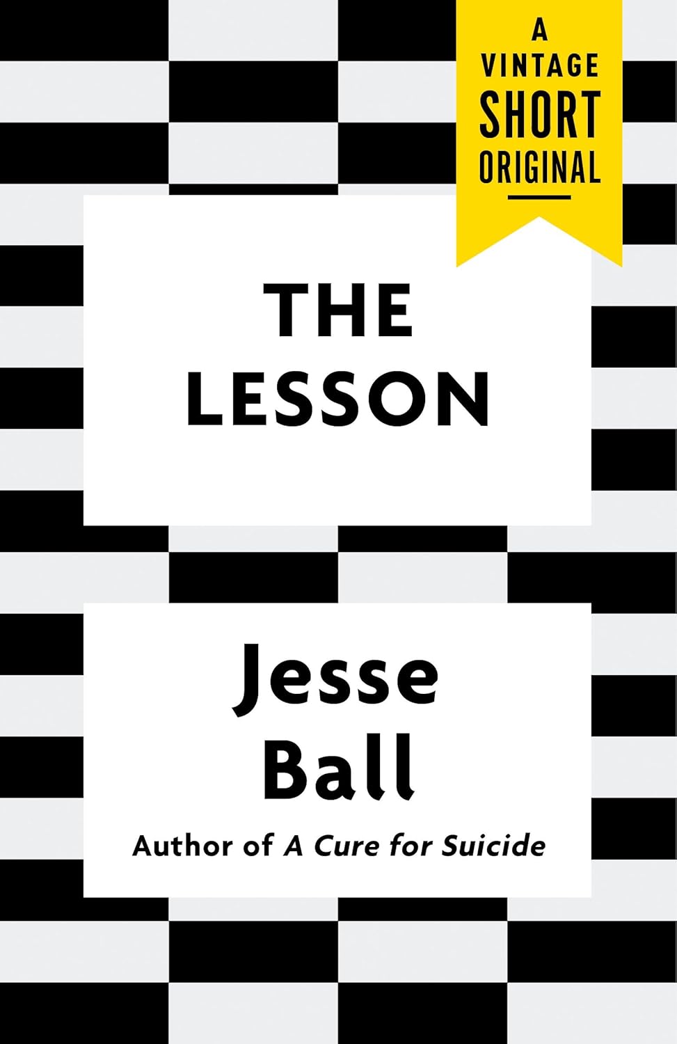 The Lesson (Kindle Single) (A Vintage Short) poster