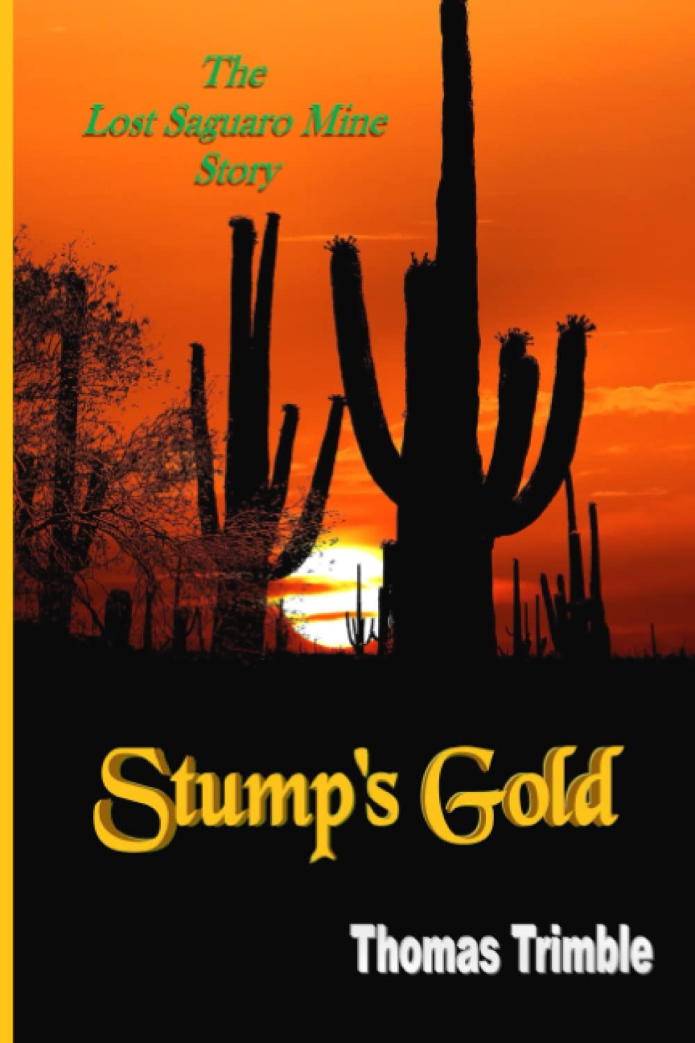 Stump's Gold: The Lost Saguaro Mine Story (Gold Mine Ghosts series) poster
