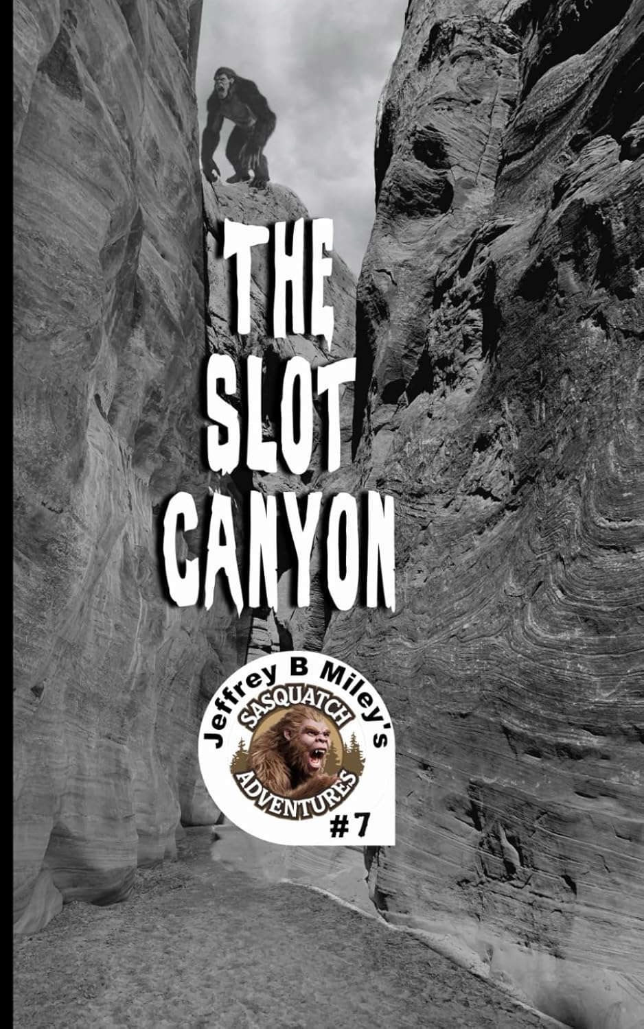 Sasquatch 7: The Slot Canyon (Sasquatch Adventures) poster